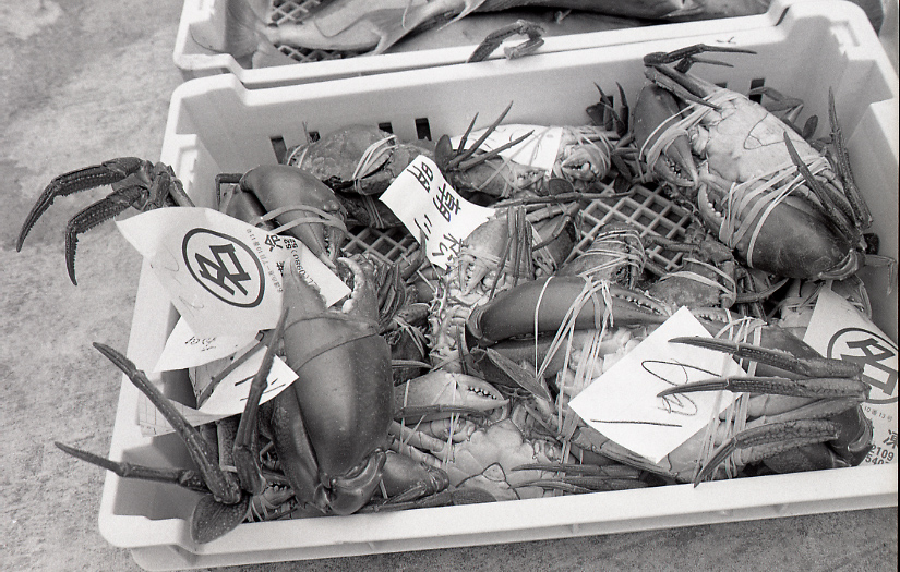 14-166-0005 14-166-0005