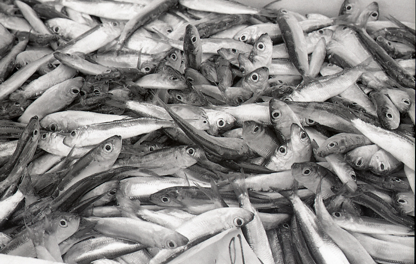 14-166-0006 14-166-0006