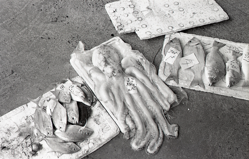 14-166-0008 14-166-0008