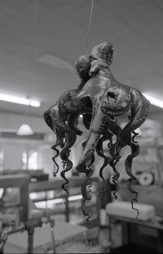 18-144-0002 18-144-0002