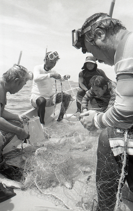 18-174-0004 18-174-0004