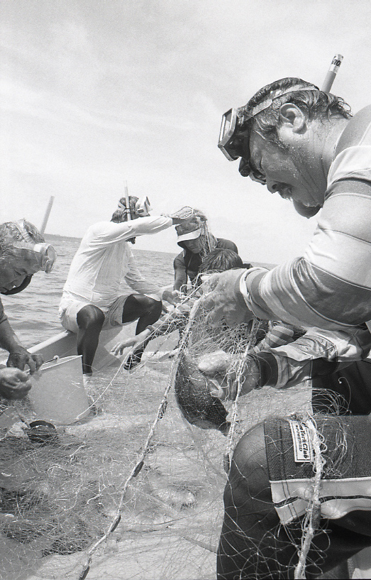 18-174-0006 18-174-0006