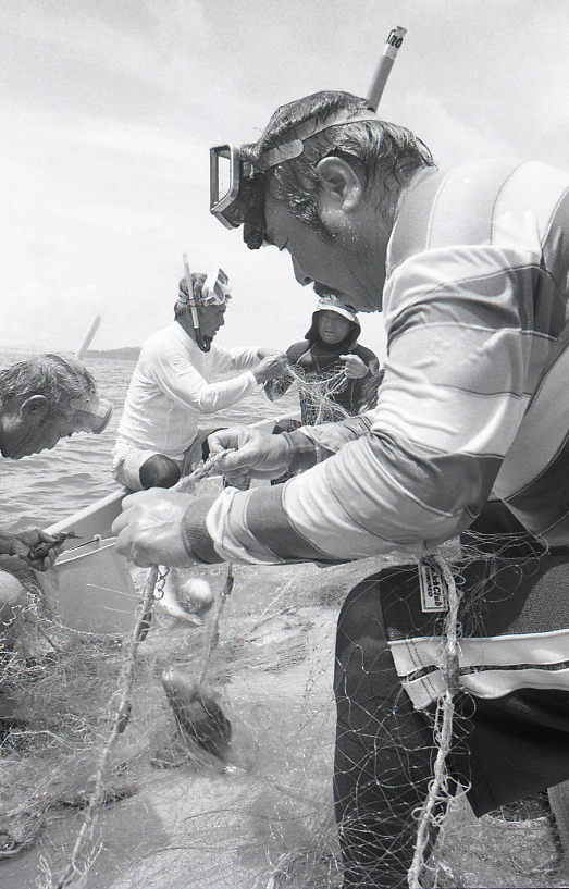 18-174-0007 18-174-0007