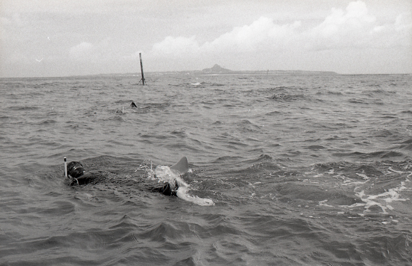 18-174-0012 18-174-0012