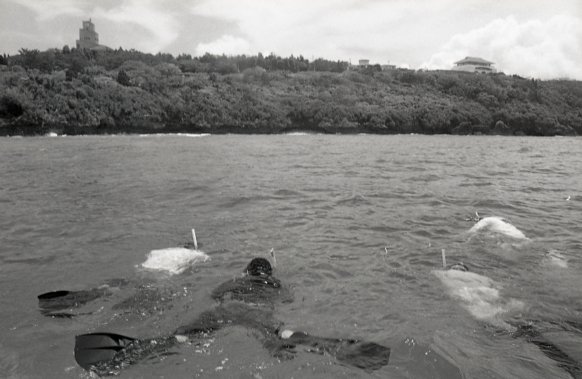 18-176-0003 18-176-0003