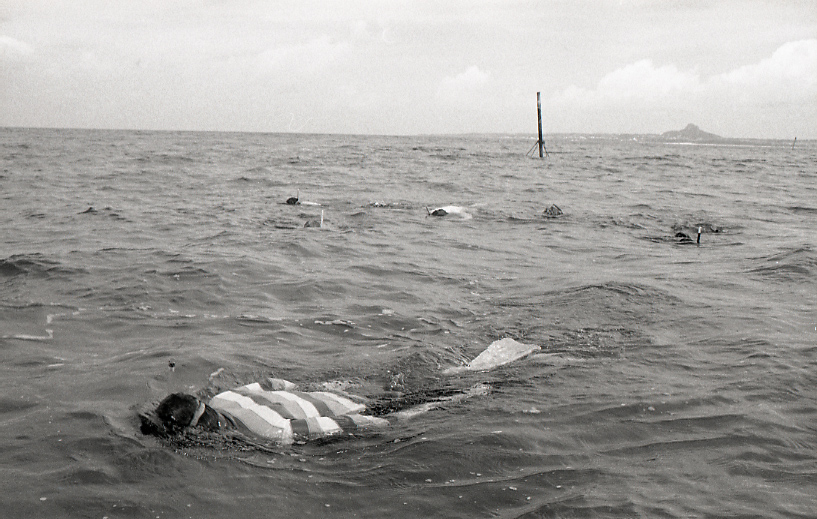 18-177-0001 18-177-0001