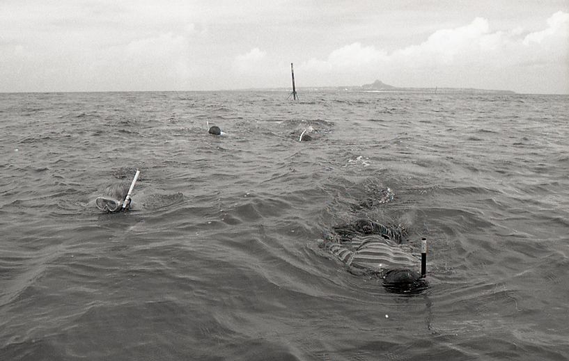 18-177-0003 18-177-0003