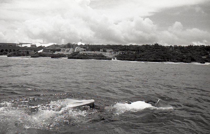 18-177-0007 18-177-0007