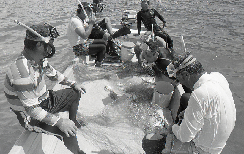 18-179-0003 18-179-0003