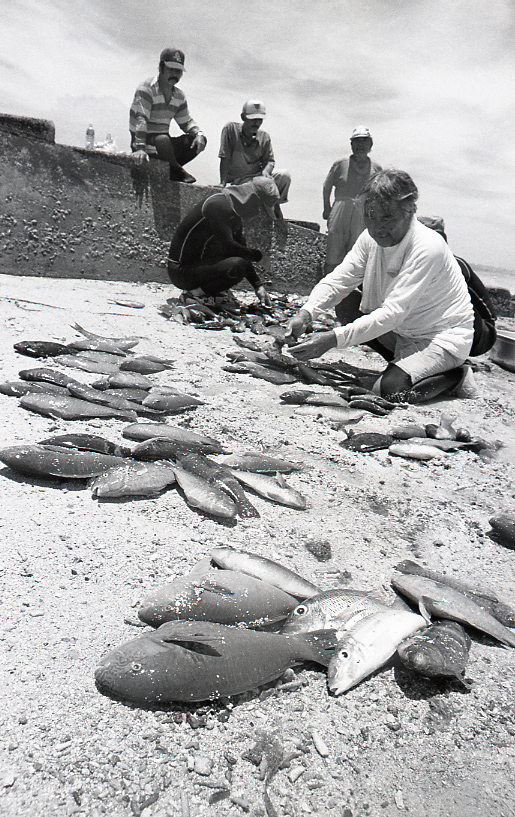 18-180-0005 18-180-0005