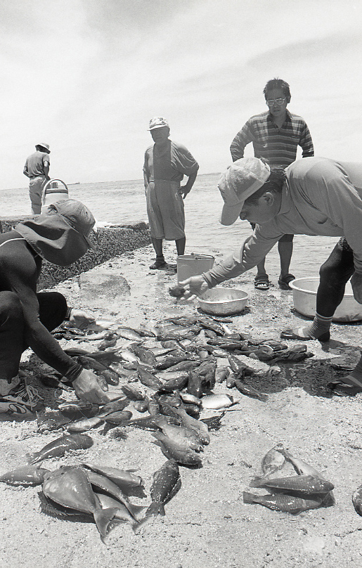 18-180-0006 18-180-0006