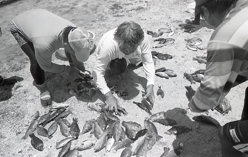 18-180-0009 18-180-0009