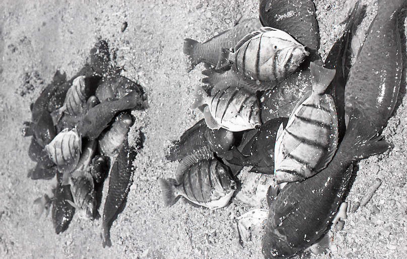 18-180-0014 18-180-0014