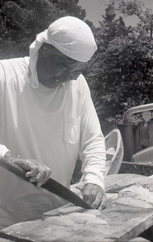 18-181-0002 18-181-0002