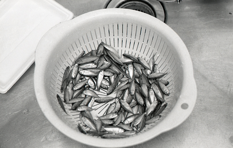 18-183-0004 18-183-0004