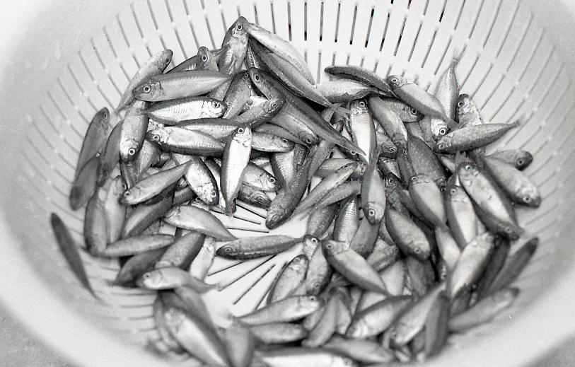 18-183-0005 18-183-0005