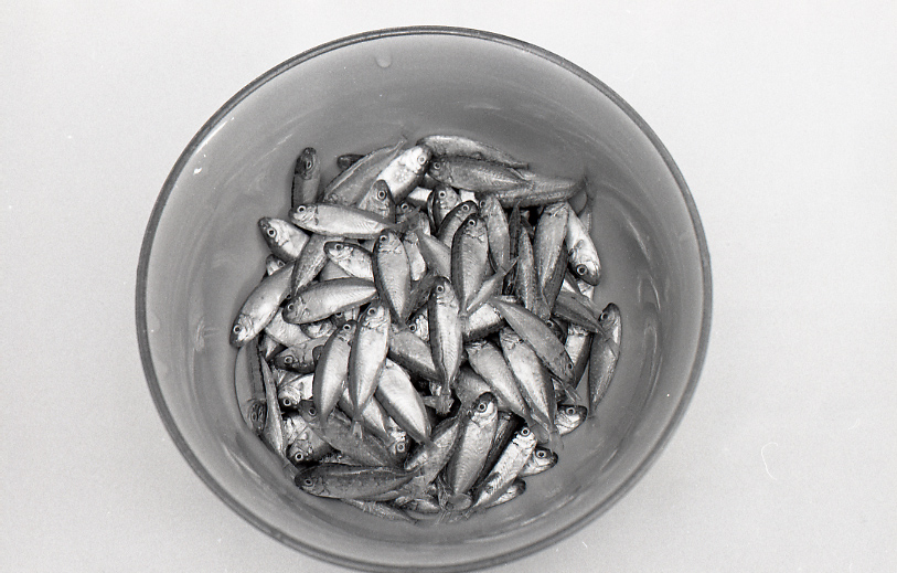 18-183-0006 18-183-0006