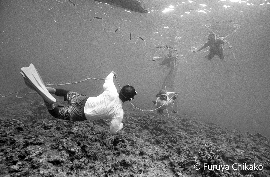 18-194-0002 18-194-0002