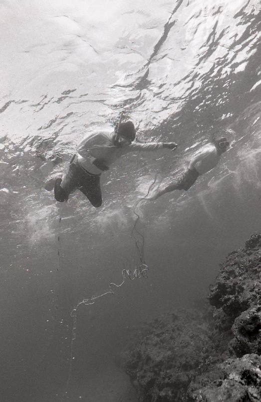 18-194-0007 18-194-0007