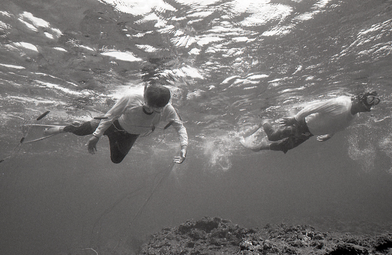 18-194-0008 18-194-0008