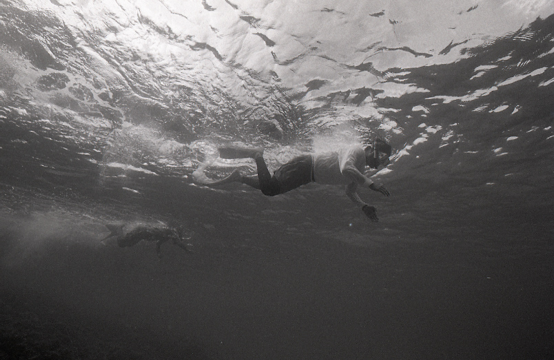 18-194-0012 18-194-0012