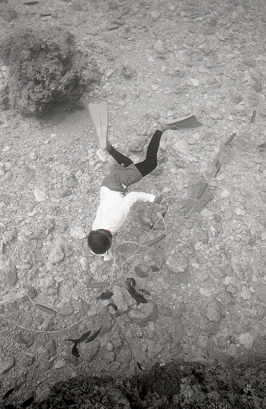 18-194-0013 18-194-0013