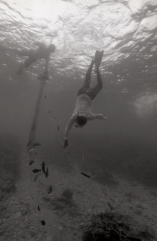 18-194-0015 18-194-0015