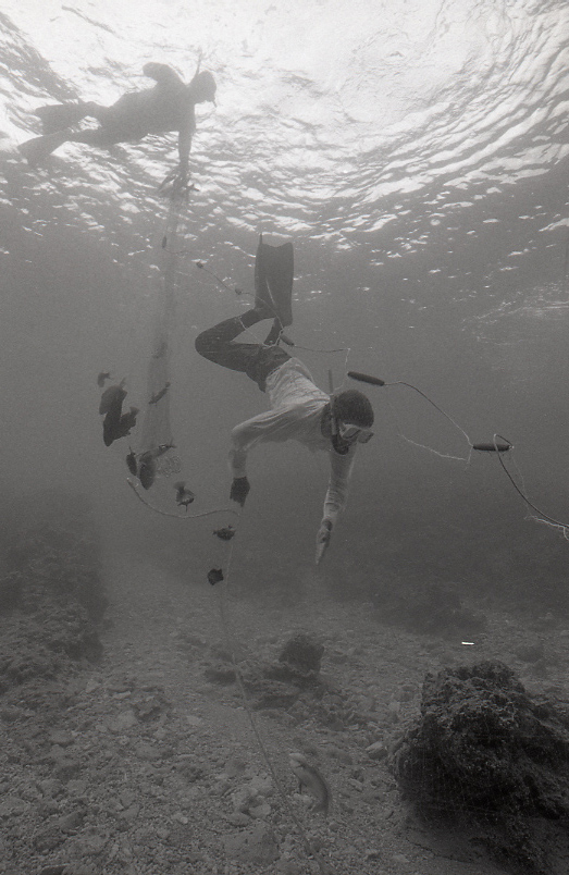 18-194-0016 18-194-0016