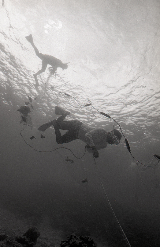 18-194-0017 18-194-0017