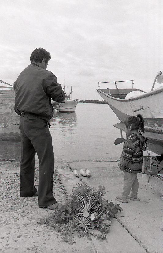 19-028-0010 19-028-0010