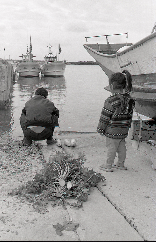 19-028-0011 19-028-0011