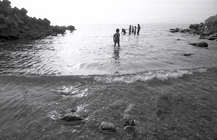 19-036-0001 19-036-0001