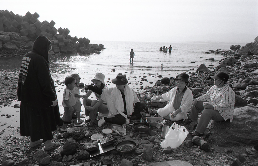 19-036-0002 19-036-0002