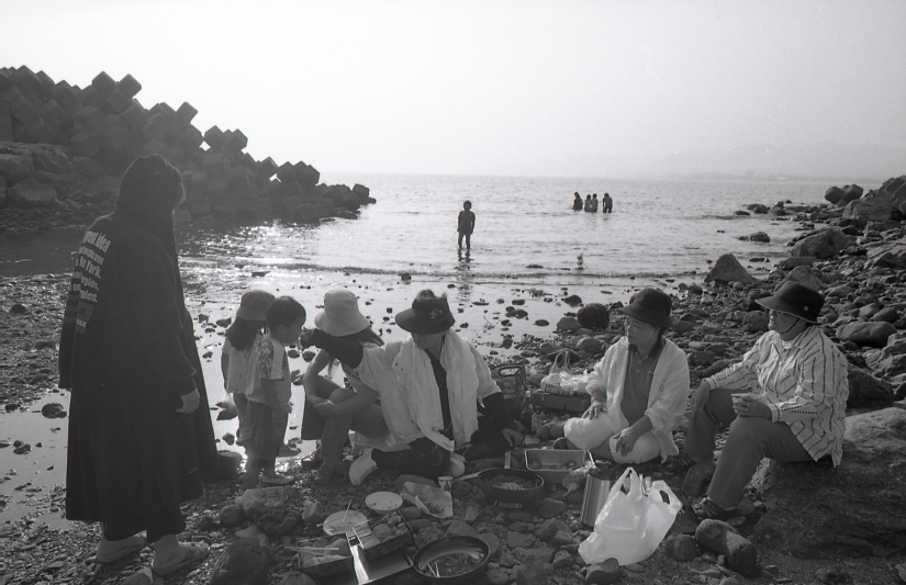 19-036-0003 19-036-0003