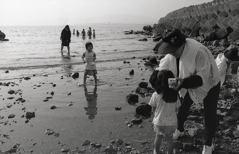 19-036-0009 19-036-0009