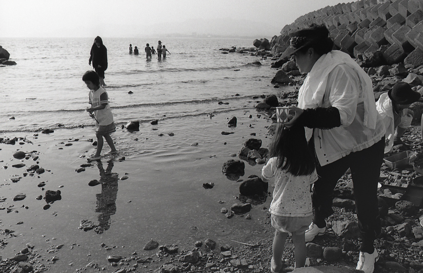 19-036-0010 19-036-0010