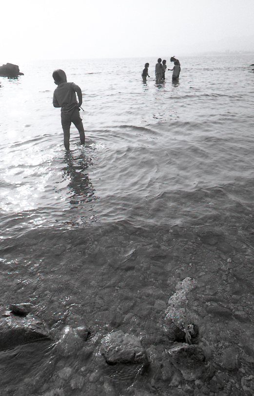 19-036-0015 19-036-0015