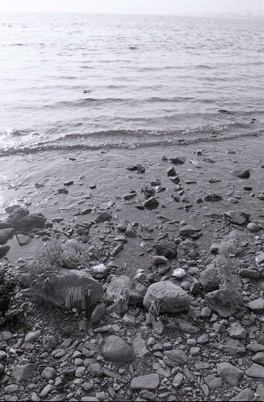 19-037-0001 19-037-0001