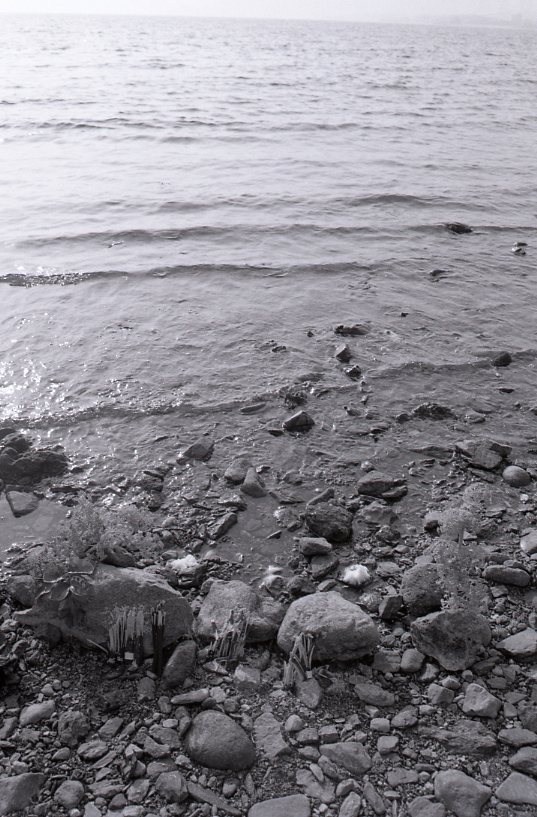 19-037-0002 19-037-0002