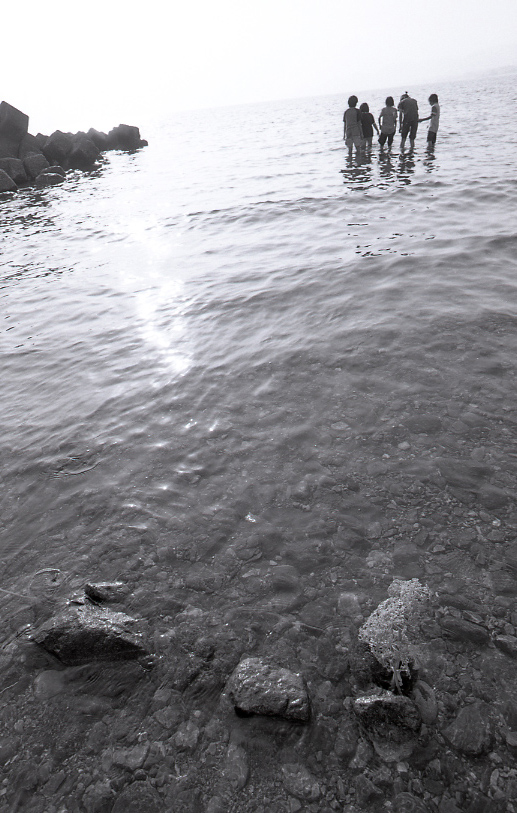 19-037-0008 19-037-0008