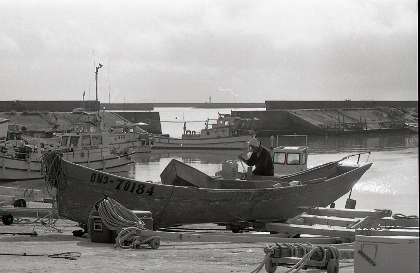 19-049-0003 19-049-0003