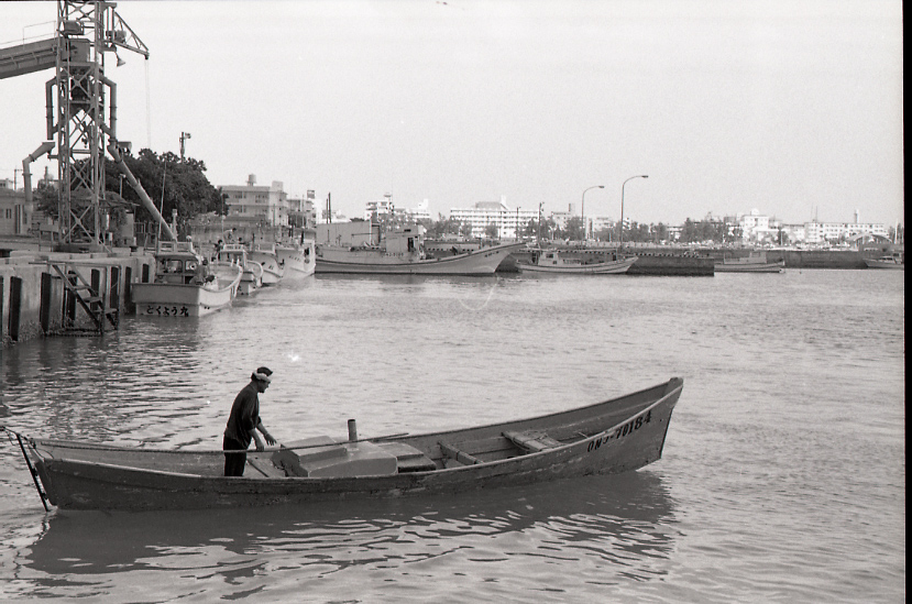 19-050-0001 19-050-0001