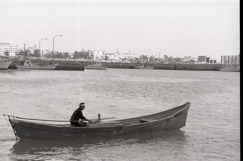 19-050-0002 19-050-0002