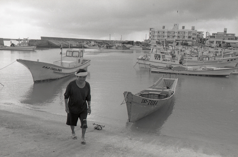 19-050-0003 19-050-0003