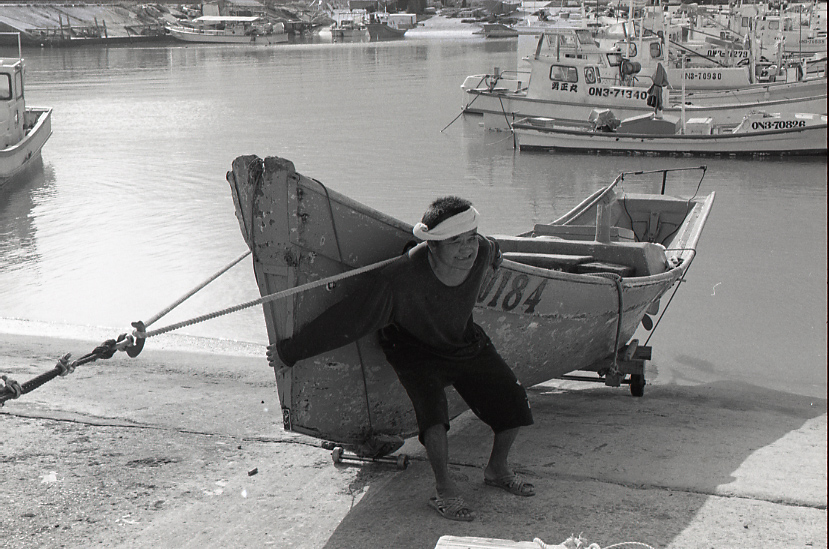 19-050-0012 19-050-0012