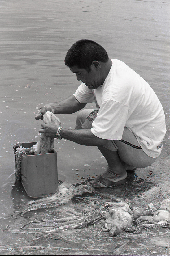 19-051-0001 19-051-0001