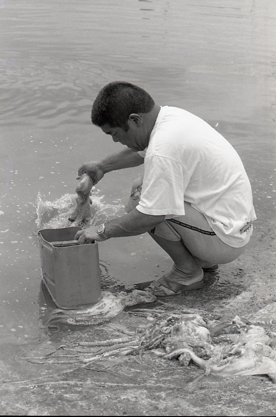 19-051-0002 19-051-0002