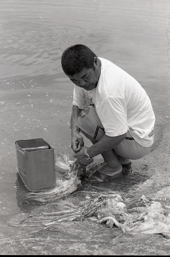 19-051-0003 19-051-0003