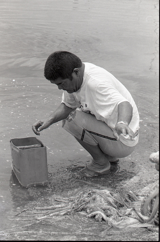 19-051-0004 19-051-0004