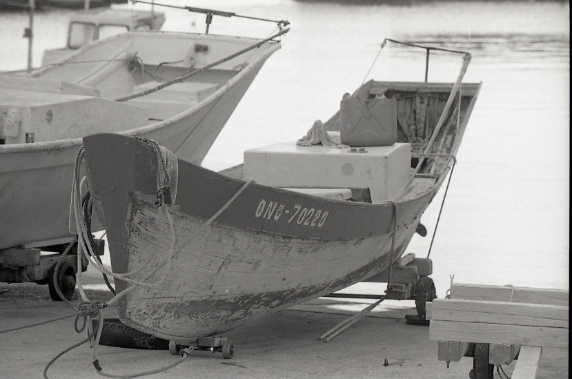 19-051-0007 19-051-0007